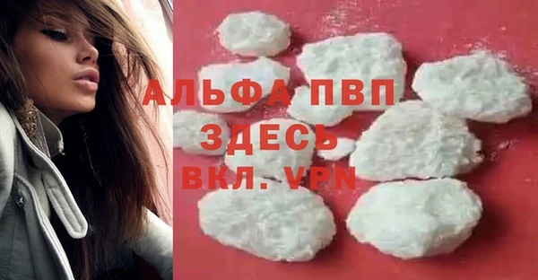 стаф Елабуга