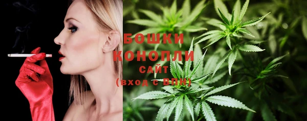 стаф Елабуга