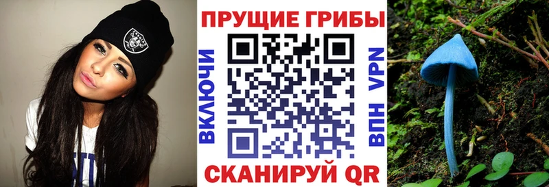 Псилоцибиновые грибы MAGIC MUSHROOMS где продают кракен ССЫЛКА Пересвет